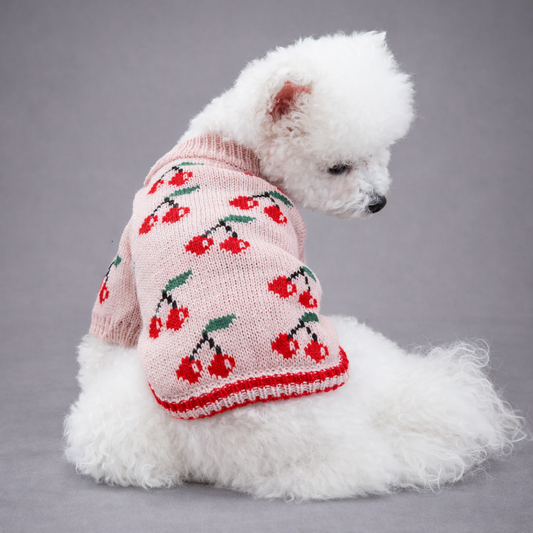 Ciepły sweter dla psa z motywem wiśni Cher