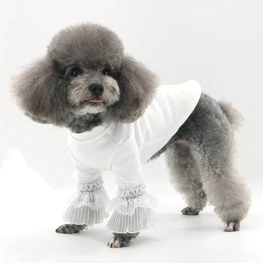 Elegancka koszula dla psa Ella