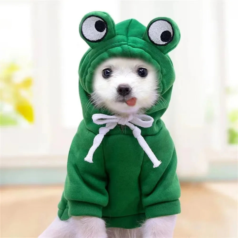 Bluza dla psa i kota Frog