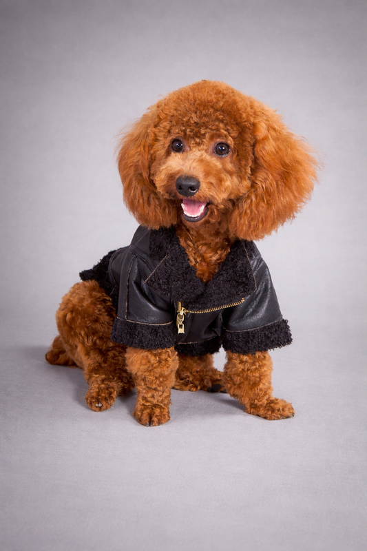 Kurtka kożuch dla psa Lou