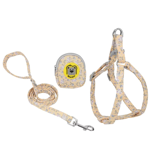 Zestaw spacerowy 3w1 - szelki, smycz i plecak
