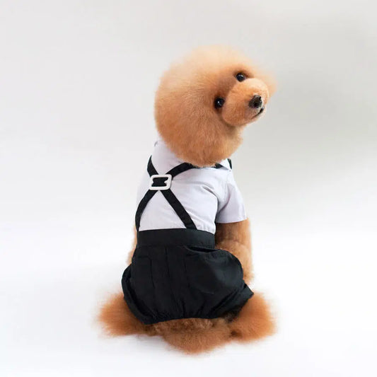 Elegancki kombinezon z muszką dla psa